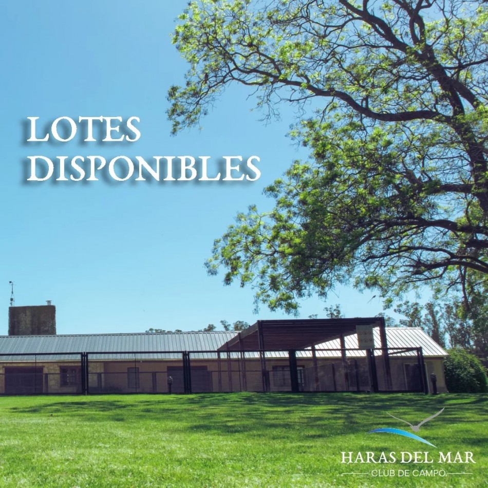 ULTIMOS LOTES EN HARAS DEL MAR. FINANCIACION. 