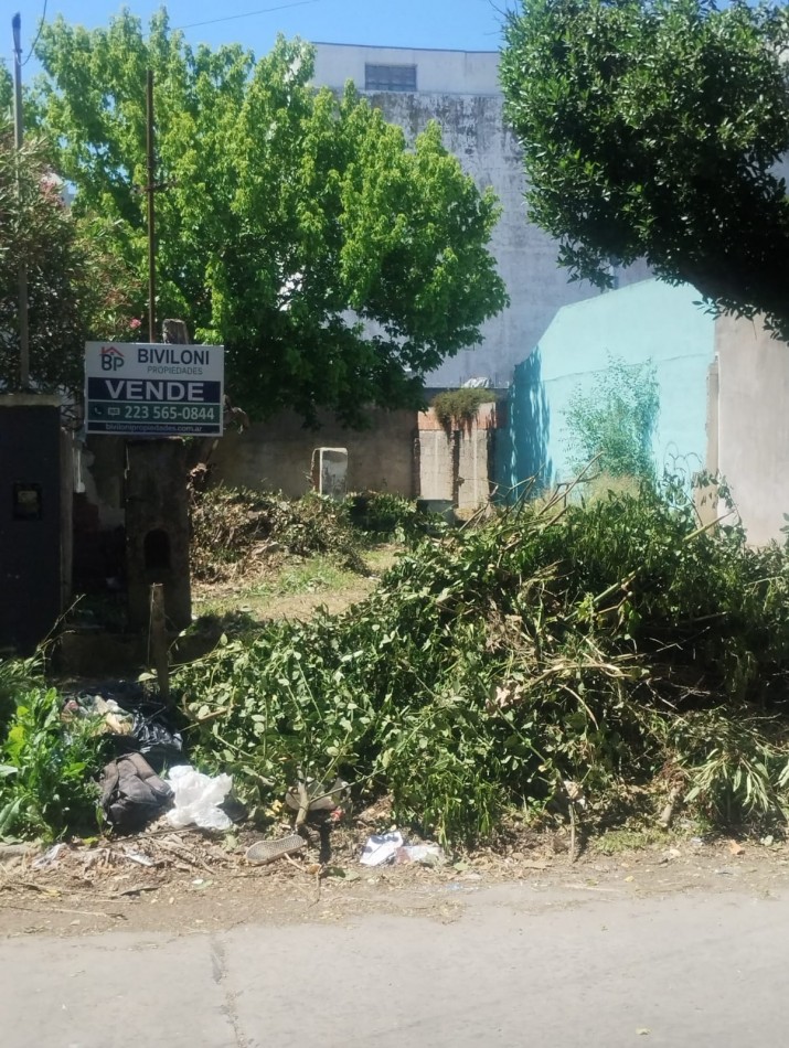 LOTE EN VILLA PRIMERA. A METROS DE LIBERTAD Y JARA. 222 METROS. ZONIFICACION C1.