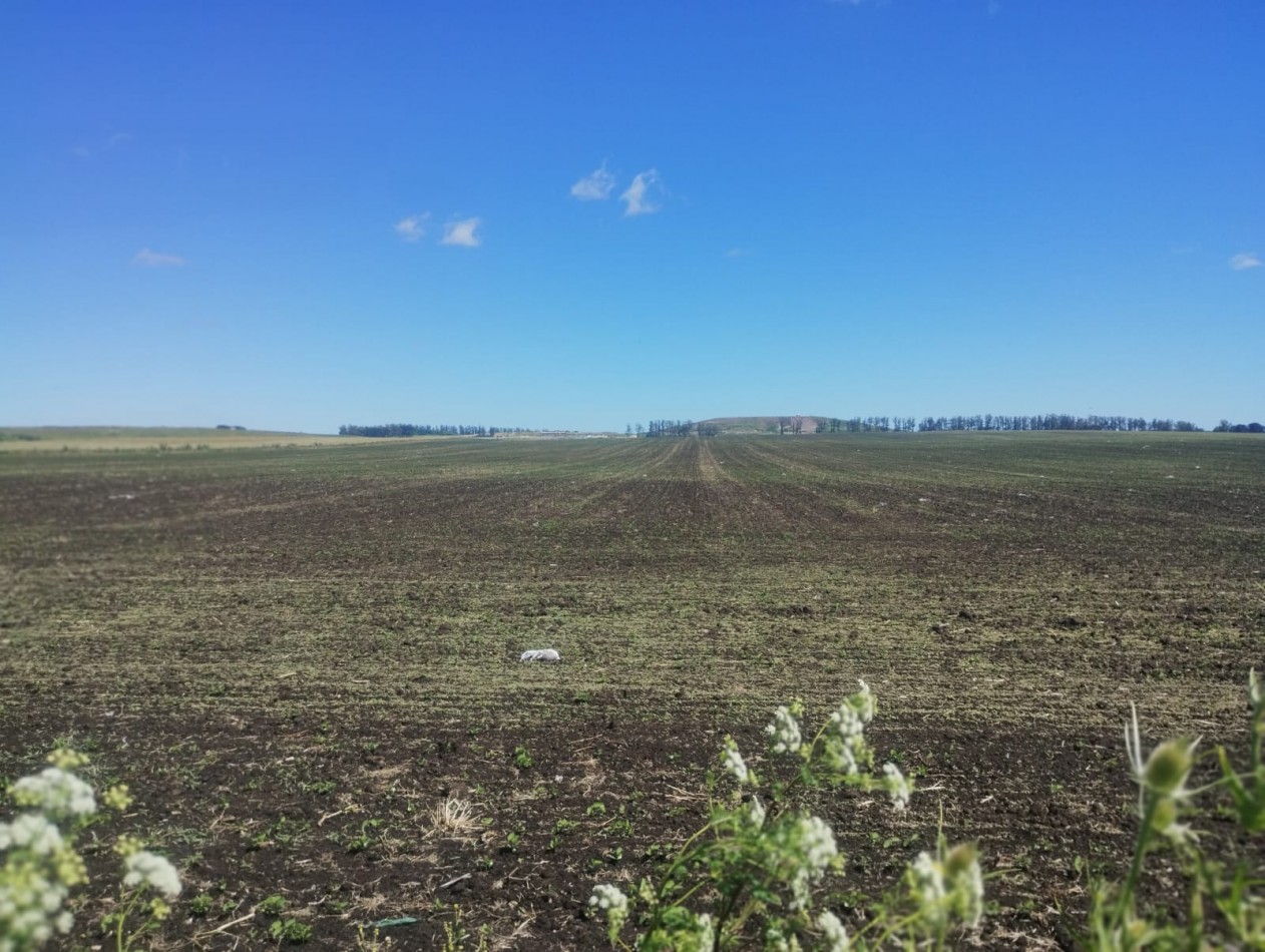 49 HECTAREAS DE CAMPO APTO PARA ACTIVIDAD AGRICOLA. MAR DEL PLATA. SOBR AVENIDA ANTARTIDA ARGENTINA. 