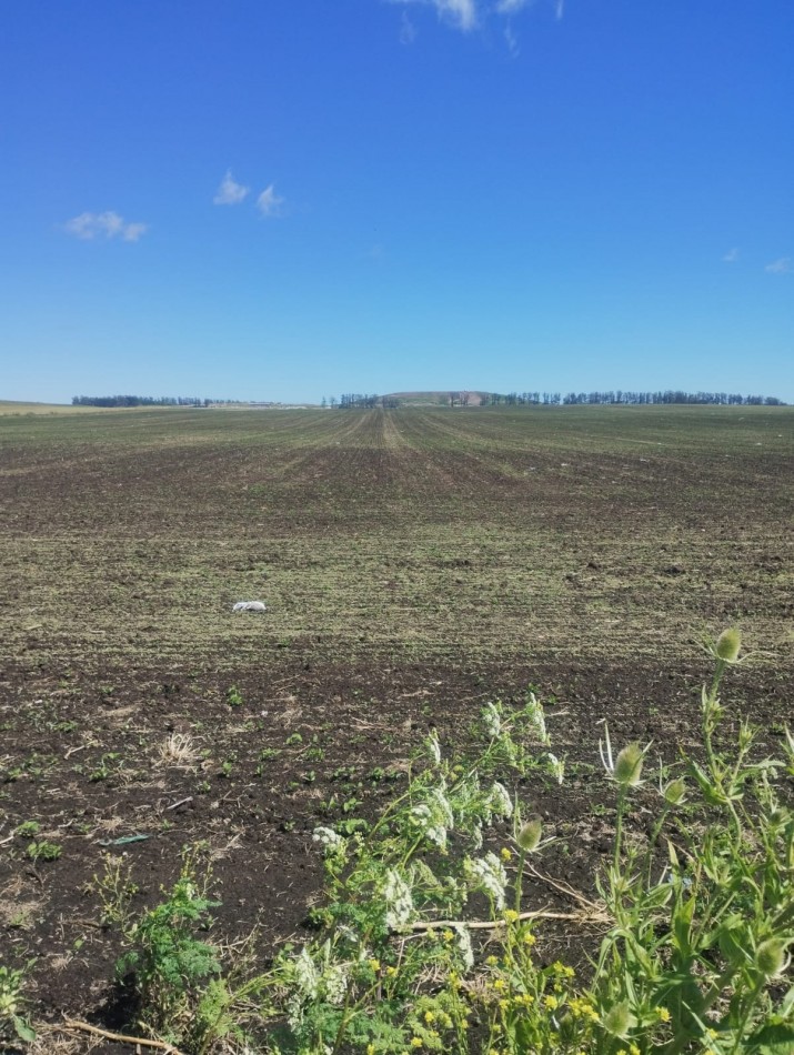 49 HECTAREAS DE CAMPO APTO PARA ACTIVIDAD AGRICOLA. MAR DEL PLATA. SOBR AVENIDA ANTARTIDA ARGENTINA. 