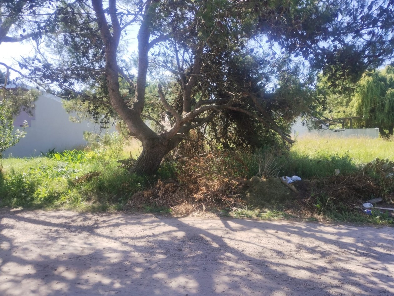 AMPLIO LOTE EN ESQUINA. EL ALFAR. A METROS DE LA COSTA. OPORTUNIDAD