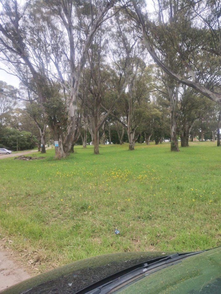 IMPORTANTE FRACCION DE 15.220 METROS SOBRE AVENIDA 10 DE FEBRERO Y MARIO BRAVO. 