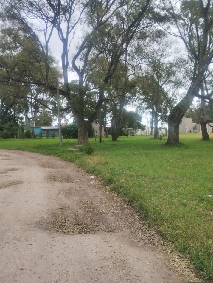 FRACCION DE 4900 METROS EN SANTA CELINA. SOBRE AVENIDA 10 DE FEBRERO A 300 METROS DE MARIO BRAVO