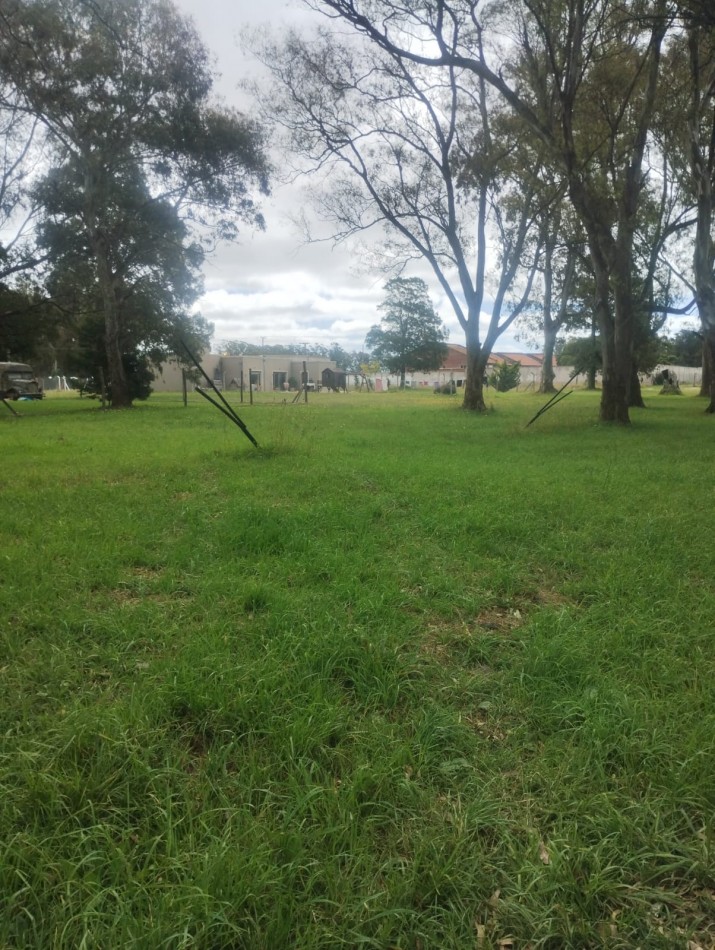 FRACCION DE 4900 METROS EN SANTA CELINA. SOBRE AVENIDA 10 DE FEBRERO A 300 METROS DE MARIO BRAVO