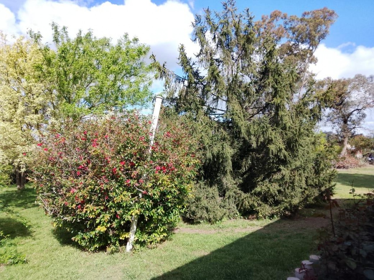 IMPORTANTE PREDIO CON IMPECABLE CHALET EN CORONEL VIDAL. IDEAL DESARROLLO TURISTICO. 5200 METROS CUADRADOS CERCANO A RUTA 2