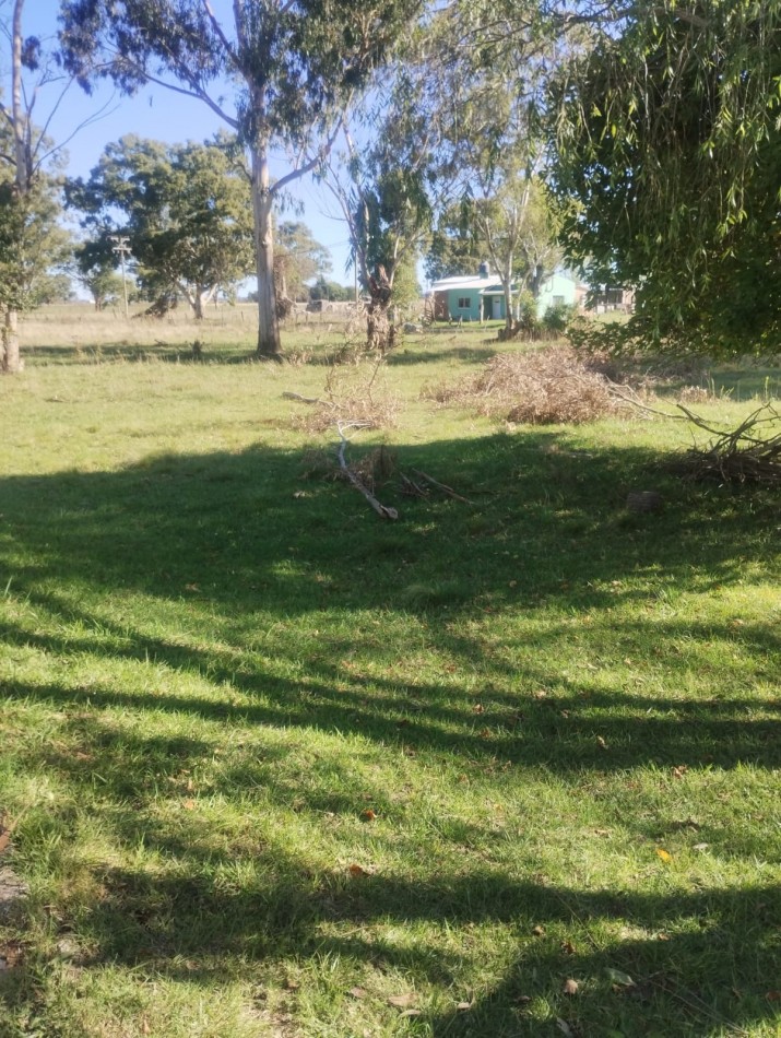 CASAQUINTA DE 4 AMBIENTES CON GALPONES A RECICLAR. BARRIO EL CASAL. OPORTUNIDAD