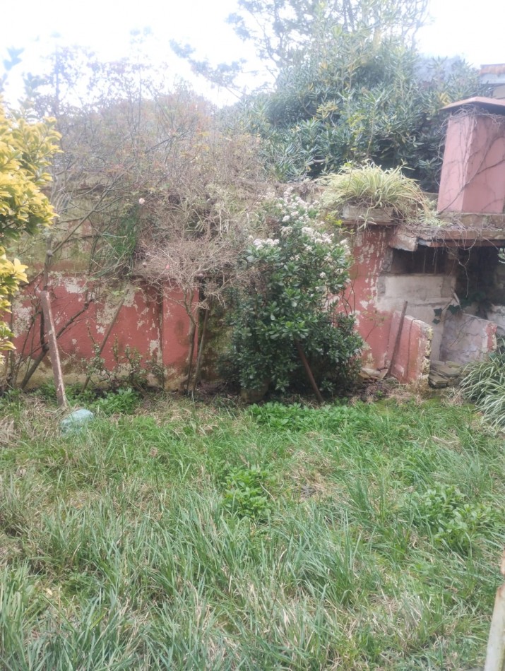 PH DE 2 AMBIENTES AMPLIOS CON PATIO Y JARDIN. PUNTA MOGOTES