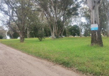 IMPORTANTE FRACCION DE 15.220 METROS SOBRE AVENIDA 10 DE FEBRERO Y MARIO BRAVO. 